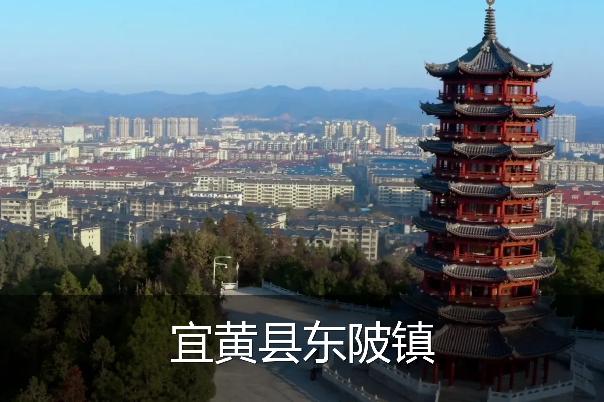 宜黄县东陂镇