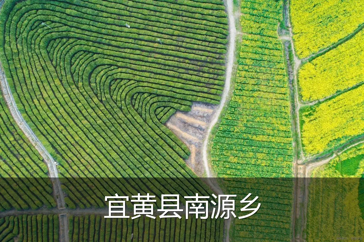 宜黄县南源乡